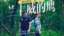 竞技宝one